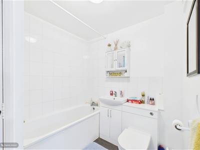Picture 8